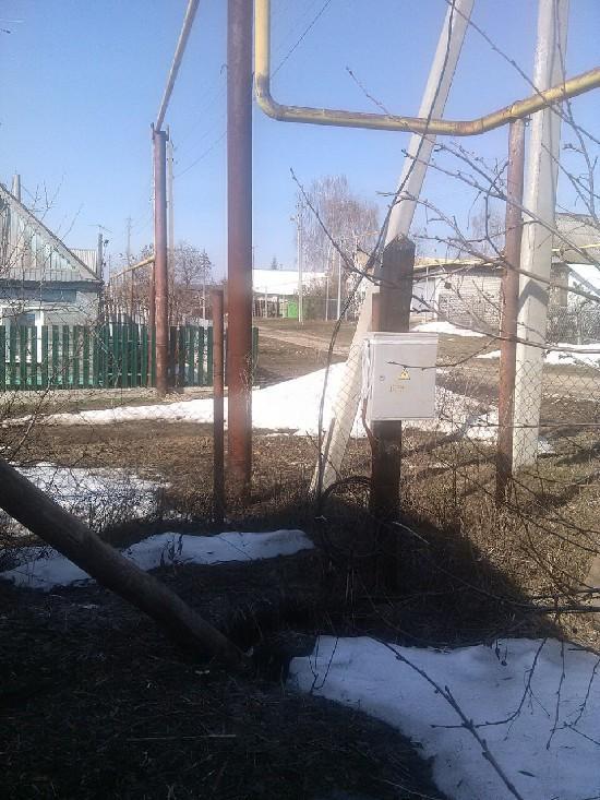Главная